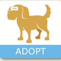 Hopalong Website