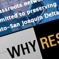 Restore the Delta Website