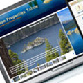 World Village Search Box